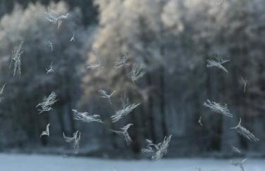 Na skraju gaju - Foto 23