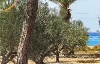 Lemoni House in Petras, Sitia, by Comfortbnb - Foto 33