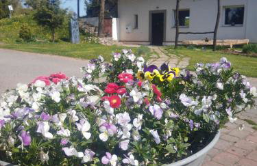 Gierszówka Smak&Relaks - Foto 35