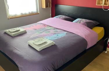 Au cœur du vignoble champenois - Foto 6