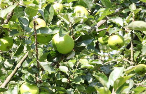 The BungalowBarlow - Foto 24