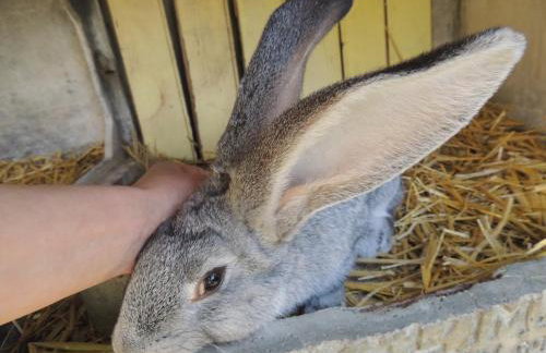 Bienvenue à La Sélinière ! - Foto 23