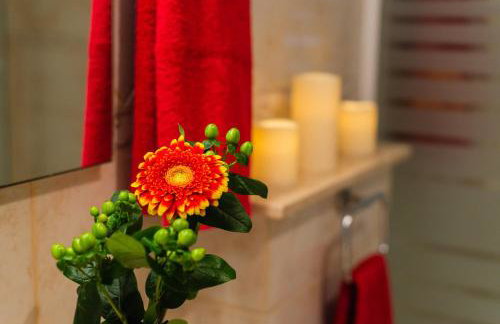 Drac Blanc 1-4 - Photo 15