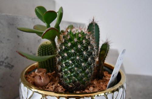 Maison de village rénovée ! - Photo 39