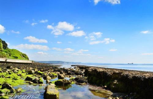 Fossil Barn - Photo 16