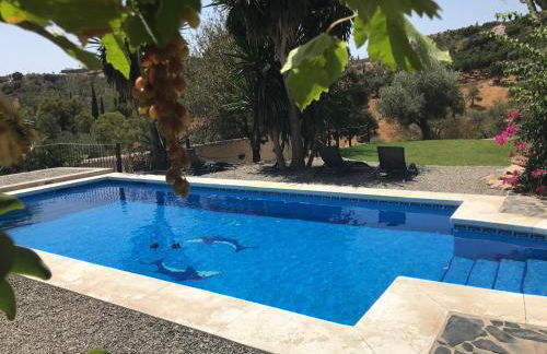 Studio Views Apartment, Cortijo Fruitful Hills - Photo 24