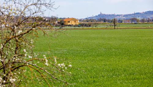 Verde Marche - Foto 2