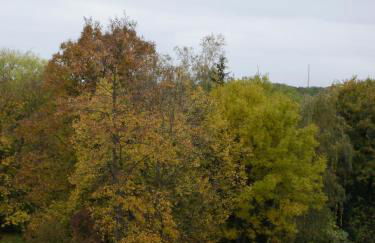 Ferienwohnung mit Balkon - Foto 24