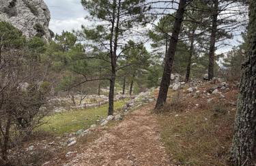 Los Llanos del Campo - Foto 48