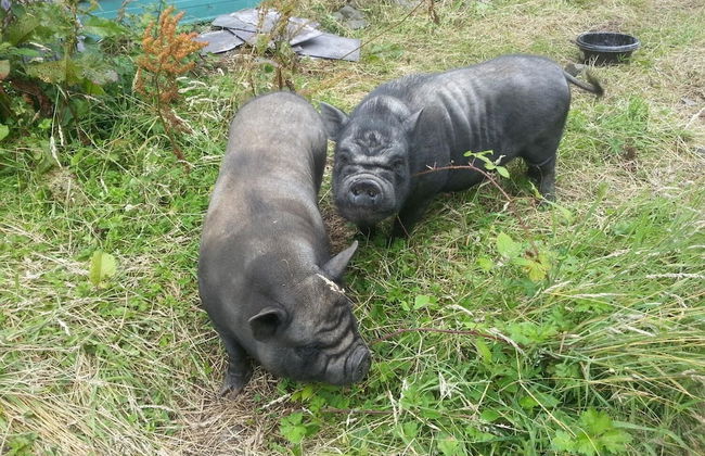 Burleigh House - Foto 34