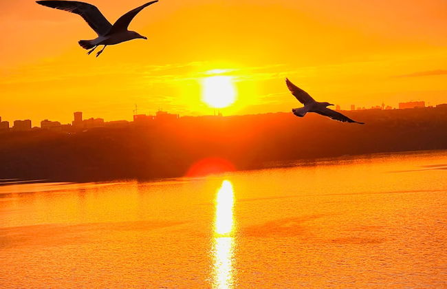 Perfect Lake view Entire Apartment - Photo 13