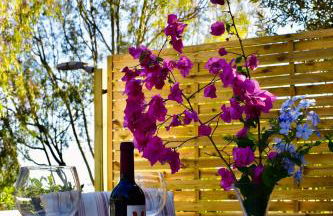 Maravilloso apartamento con jardín y barbacoa - Photo 1