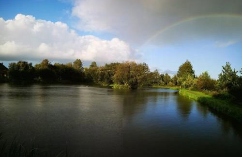 zur Forelle - Foto 10