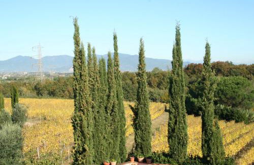 Agriturismo Gli Archi - Foto 53