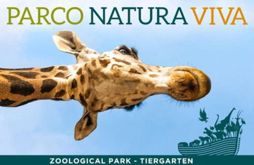 Apart Dina Lazise - Garten, Klima, Pool, Parkplatz, WIFI - Foto 34