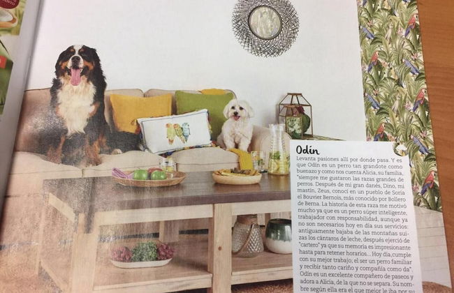 Eco Urbión - Foto 20