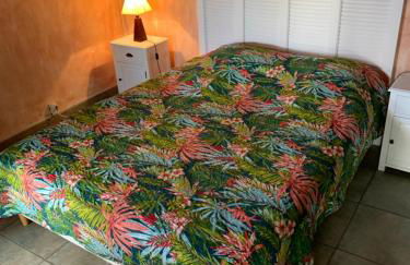 La maison sur la place dans Aigues Mortes - Foto 29