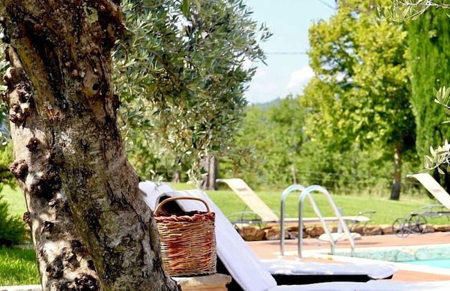 Podere Cavalbianco - Foto 50