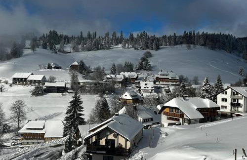 Berghof Almzeit - Fewo "Hüsli", Sauna, Todtnauberg, Feldberg - Foto 43