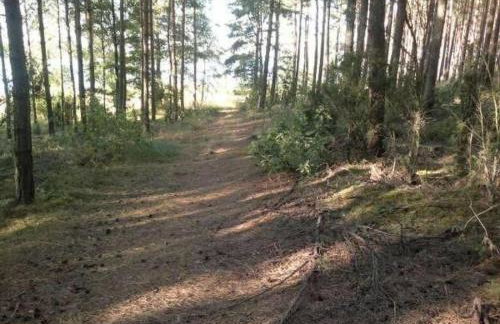 Holiday Home Freistehendes Haus mit eingezäuntem Grundstück an einer Lagune by Interhome - Foto 7