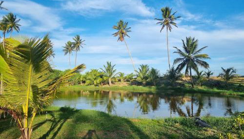 Beachhouse Costa de Aratuba - Foto 3