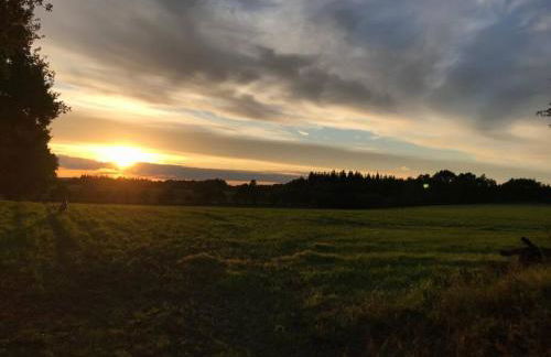 Ferienwohnung Fleckeby Schlei Fjord Light - Foto 44