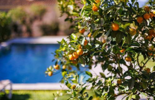 Newly renovated house with pool in Sineu center - Foto 26