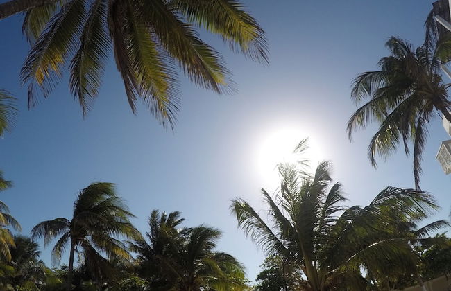 Caribbean Casa Blanca - Foto 15