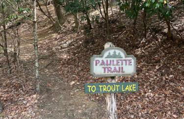 Spacious Lakeview Mountain Cabin - Foto 36