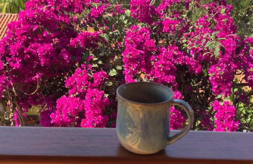 Chácara da Dinda - Photo 56