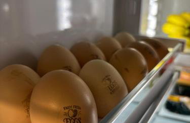 Stonehouse Karidis - Foto 13