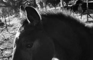 Country House Etna Glicine - Foto 23