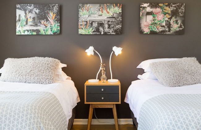 WINK Quiver Tree - Foto 7