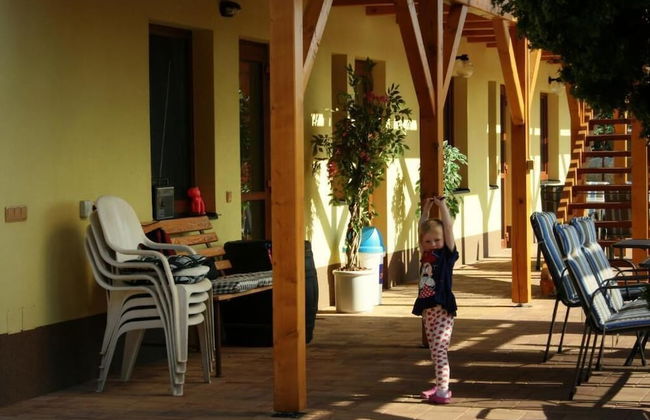 PENZION POD PALAVU - Photo 34