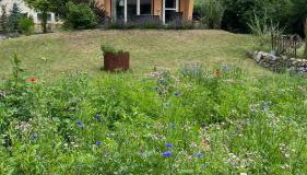 Piccola Casa - Foto 3