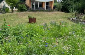 Piccola Casa - Foto 3