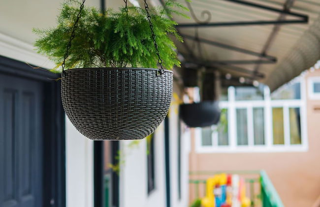 Colonial Wolf Oasis - Foto 52