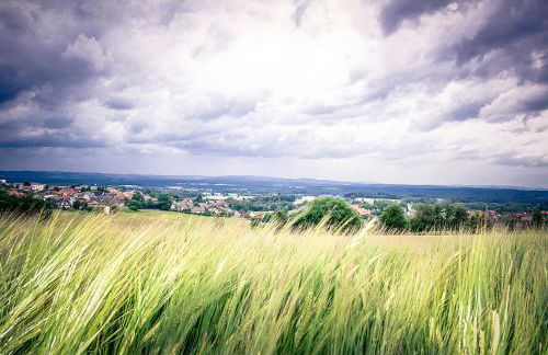 Ferienhaus Alte Wognerei - Foto 33