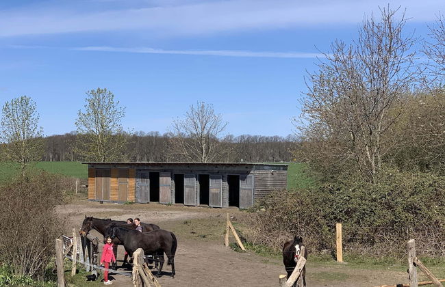 Wohnung in Semlow mit Garten und Terrasse - Foto 20