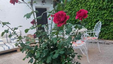 LOS SUEÑOS DE BUENDÍA - Foto 5