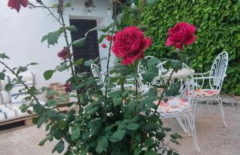 LOS SUEÑOS DE BUENDÍA - Foto 5