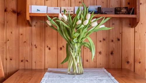 Appartement Lehen - Foto 3