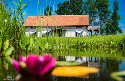 Zielna Farma - Foto 1