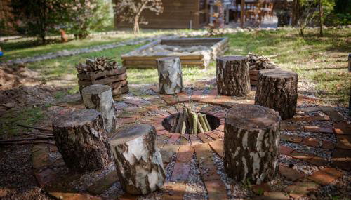 Niezapominajka - Foto 3