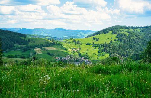 Charmante Fewo Neuenweg Hirsch - Foto 27