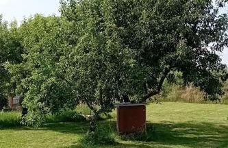 Apartment Hof Baethcke WE 2 by Interhome - Foto 8