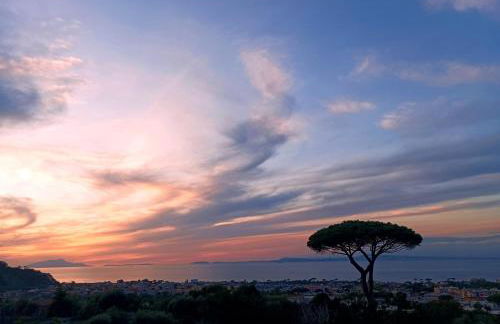 La Pigna Sorrento - Foto 49