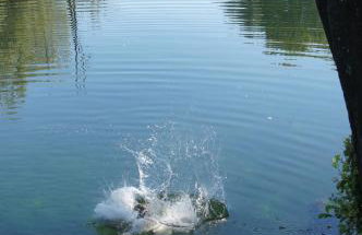 Apartments Korana, BelajskePoljice - Foto 71