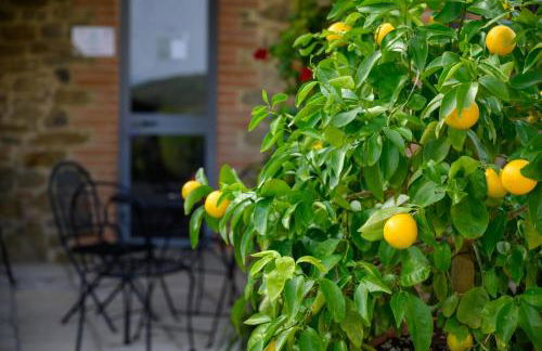 Agriturismo Borgo Sant'Ercolano - Foto 11