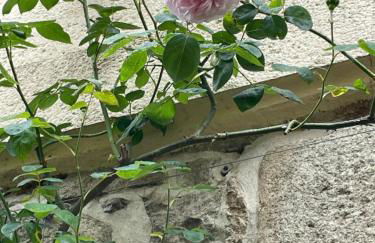 Maison de caractère ST GOUSTAN - Foto 15